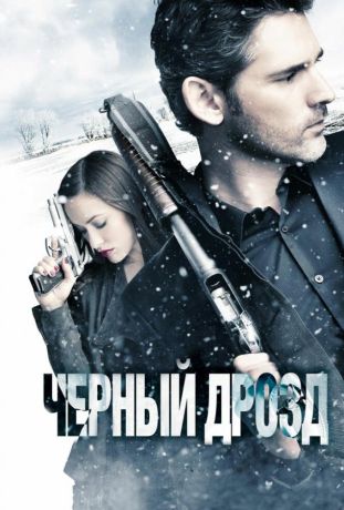 Черный дрозд (2012)