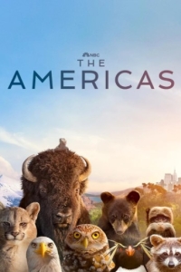 Постер Америка (2025)