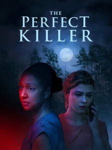 Постер Идеальный убийца (The Perfect Killer)