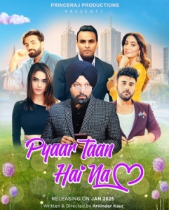 Постер Но ведь это любовь? (Pyaar Taan Hai Na)