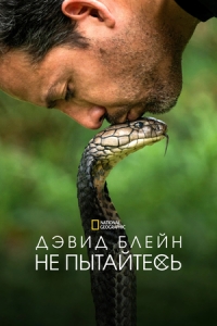 Постер Дэвид Блейн: Не пытайтесь (David Blaine: Do Not Attempt)