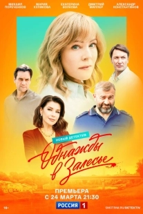 Постер Однажды в Залесье (Однажды в Залесье)
