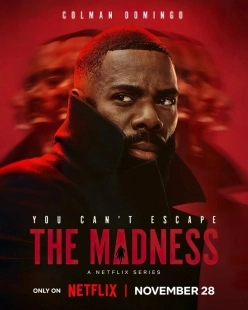 Постер Безумие (The Madness)