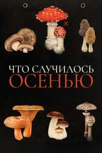Постер Что случилось осенью (2024)