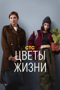 Постер Цветы жизни (Цветы жизни)