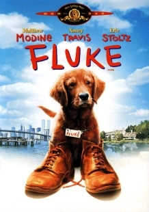 Постер Флюк (Fluke)