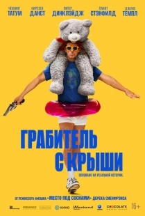 Постер Грабитель с крыши (2025)
