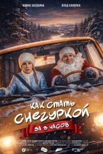 Постер Как стать Снегуркой за 8 часов (Как стать Снегуркой за 8 часов)