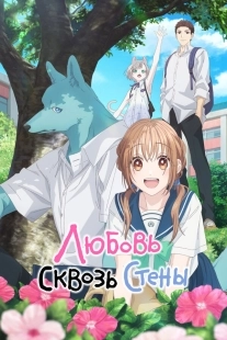 Постер Любовь сквозь стены (Kimi to Koete Koi ni Naru)
