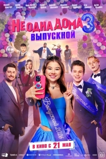 Постер Не одна дома 3. Выпускной (2026)