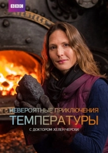 Постер Невероятные приключения температуры (2017)