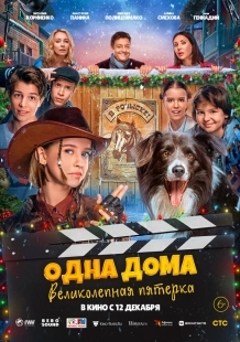 Постер Одна дома: Великолепная пятерка (2024)
