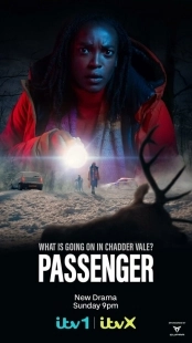 Постер Пассажир (Passenger)