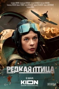 Постер Редкая птица (Редкая птица)
