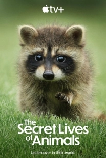 Постер Тайная жизнь животных (The Secret Lives of Animals)