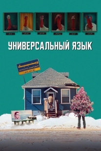 Постер Универсальный язык (2024)