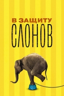 Постер В защиту слонов (An Apology to Elephants)