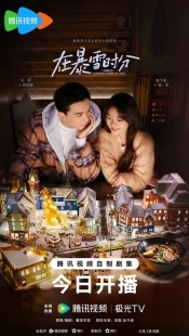 Постер Во время снежной бури (2024)