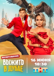 Постер Выжить в... (Survive in Dubai)