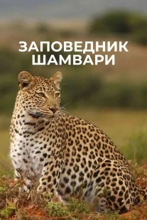 Постер Заповедник Шамвари (2018)