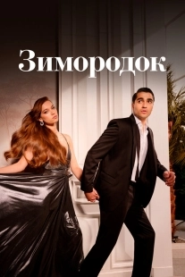 Постер Зимородок (Yalı Çapkını)